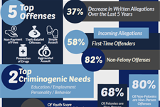 2021 Snapshot of Incoming Delinquency Cases